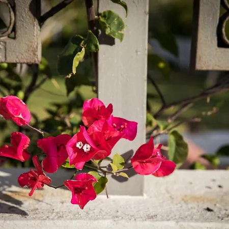 Belocations - Le Casette Di شقة