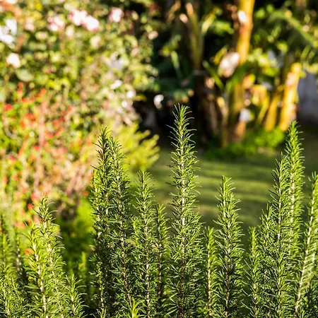 Belocations - Le Casette Di *