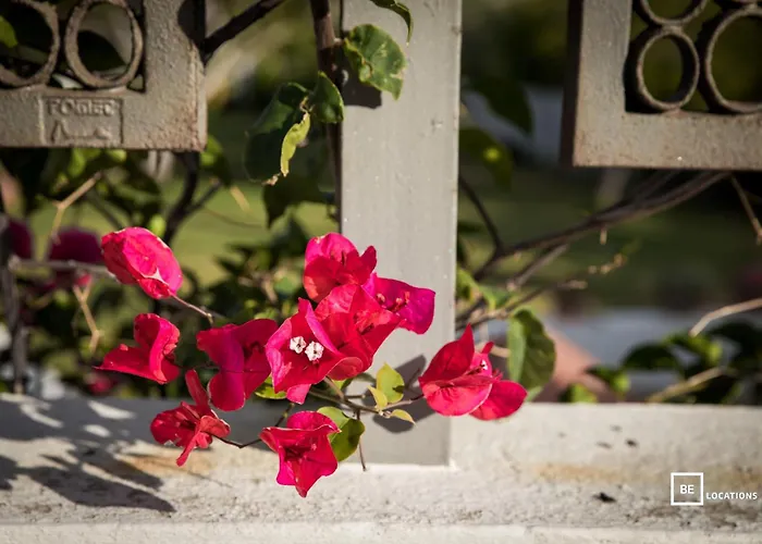 Belocations - Le Casette Di Διαμέρισμα