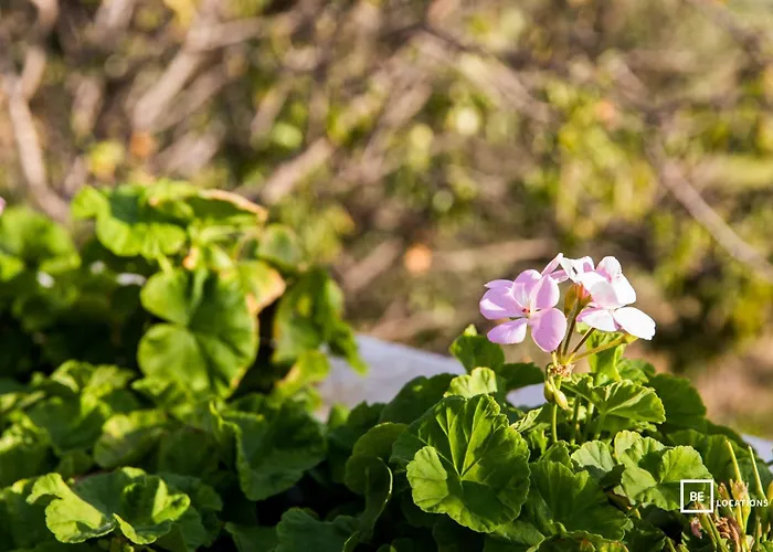 Belocations - Le Casette Di Solanas (Cagliari)