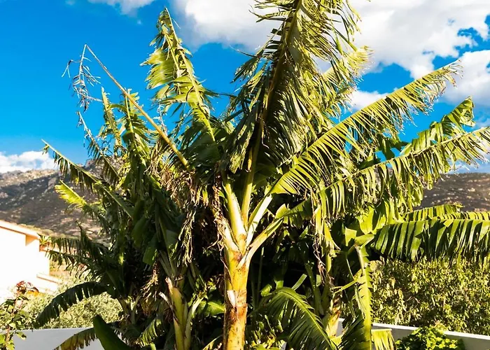 Διαμέρισμα Belocations - Le Casette Di *